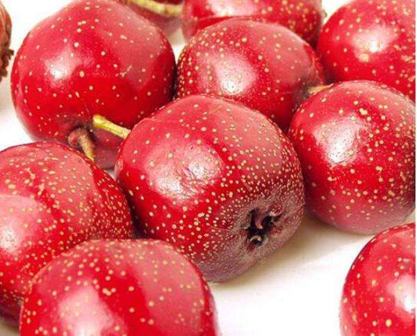 山楂的功效与作用