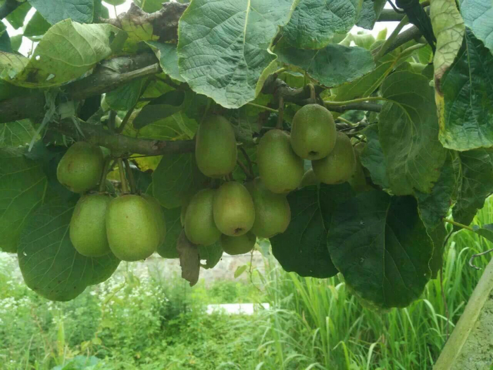 带您走进--萧基基地